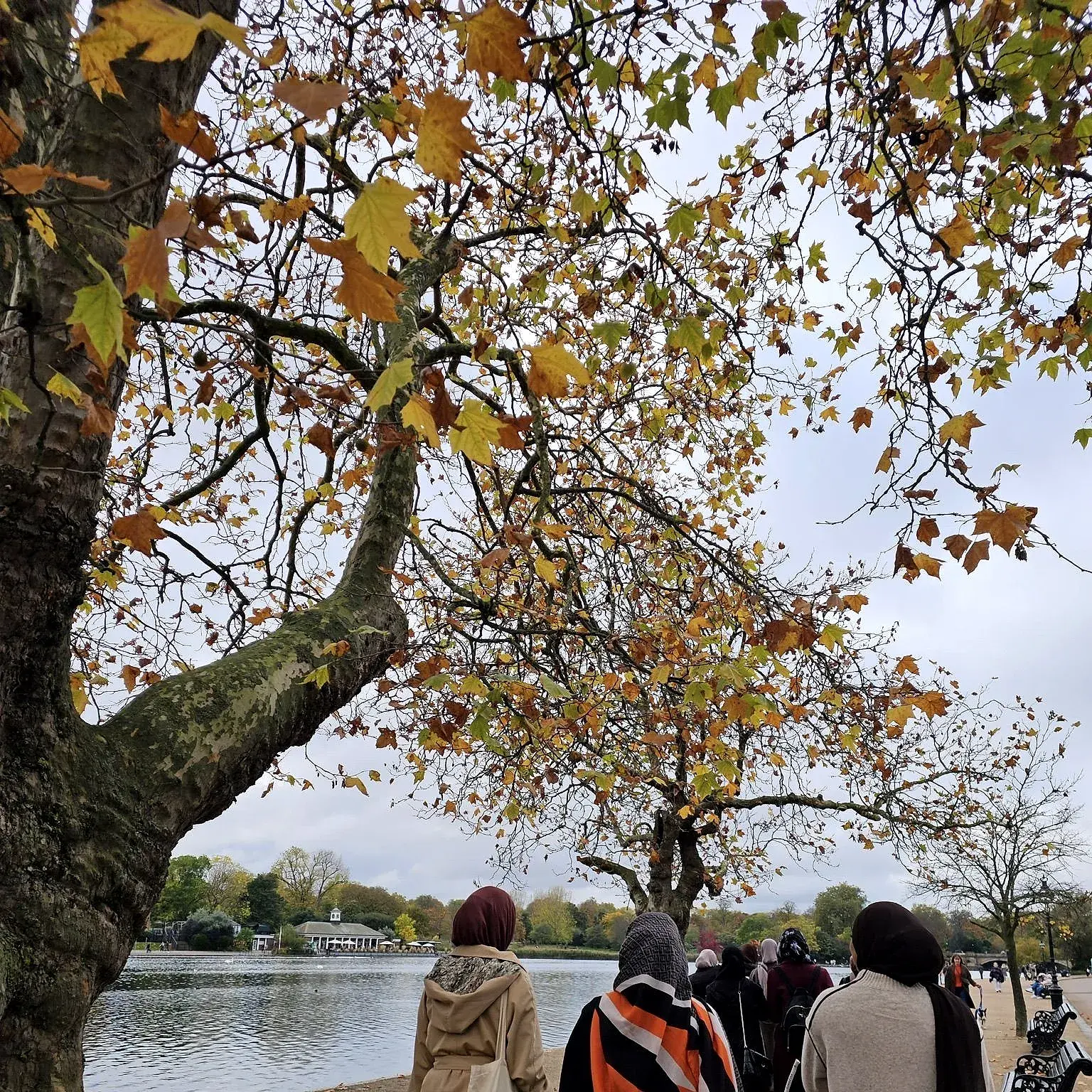 Students walking together by the lake in autumn